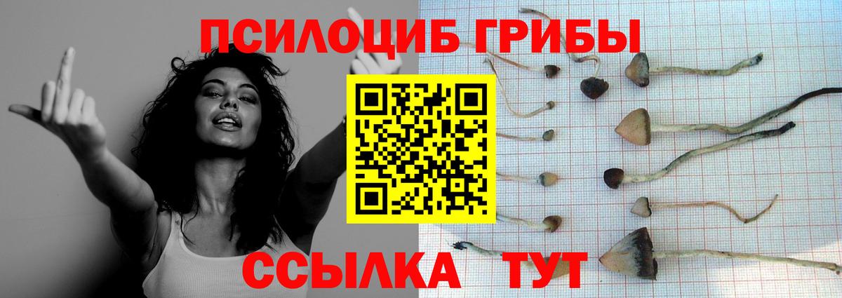 Бошки Шишки Кушва