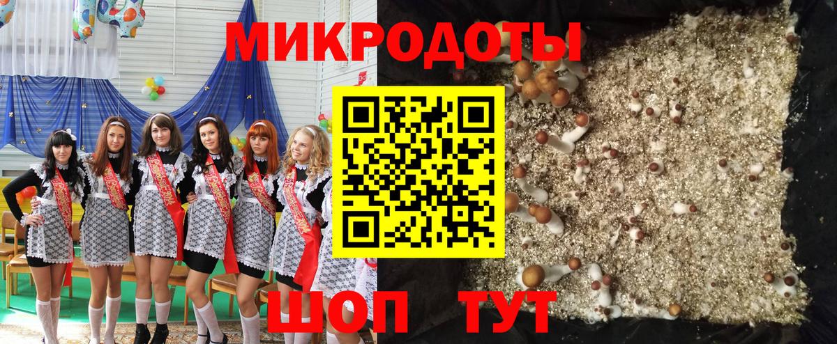 Кушва  Галлюциногенные грибы Psilocybine cubensis  Вход с VPN 